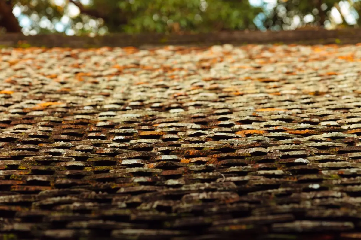 Aging shingle roof with moss growth and granule loss in Naples, FL